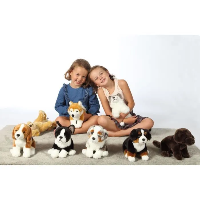 Peluche Chien Bouvier Bernois - GIPSY TOYS - Assis, 25 cm-4