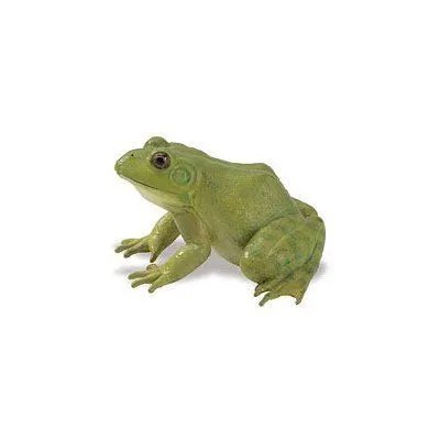 Figurine Grenouille Taureau - SAFARI - Extra Large - Pour Enfant de 3 ans et plus-0