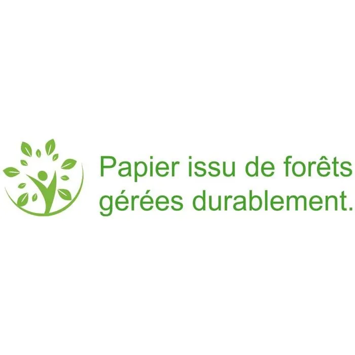 Carte de voeux - carte anniversaire - carte de correspondance Afie - 66-1141-3