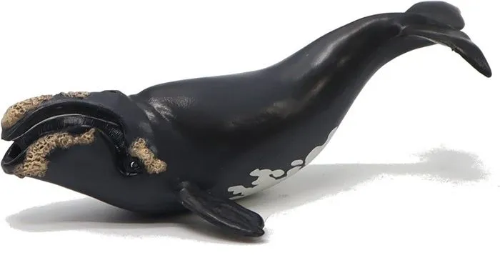 Figurine - PAPO - Baleine franche - Blanc - Enfant - Intérieur - 3 ans - Coloris Unique-1
