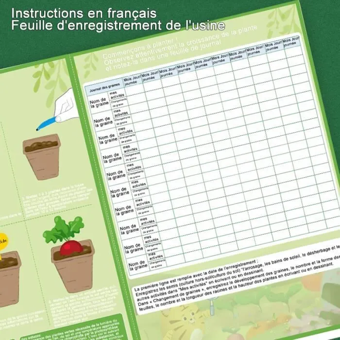 Mini Potager - RNGCPTO - Version Française - 4 Pots Dégradables - Kit de Démarrage - Pour Enfants 5 Ans+-3