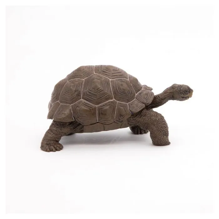 Figurine Tortue des Galapagos - Papo - Collection Vie Sauvage - Jouet pour Enfant de 3 à 10 ans-4