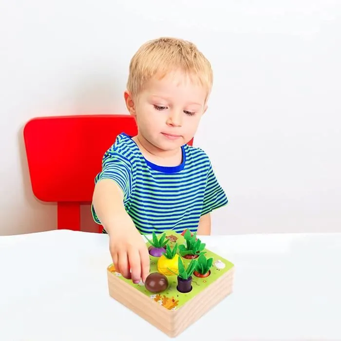 Jouet en Bois Jeu de tri Motricité Fine Jouets Bebe Montessori Jouet Enfant 1 2 3 Ans-3