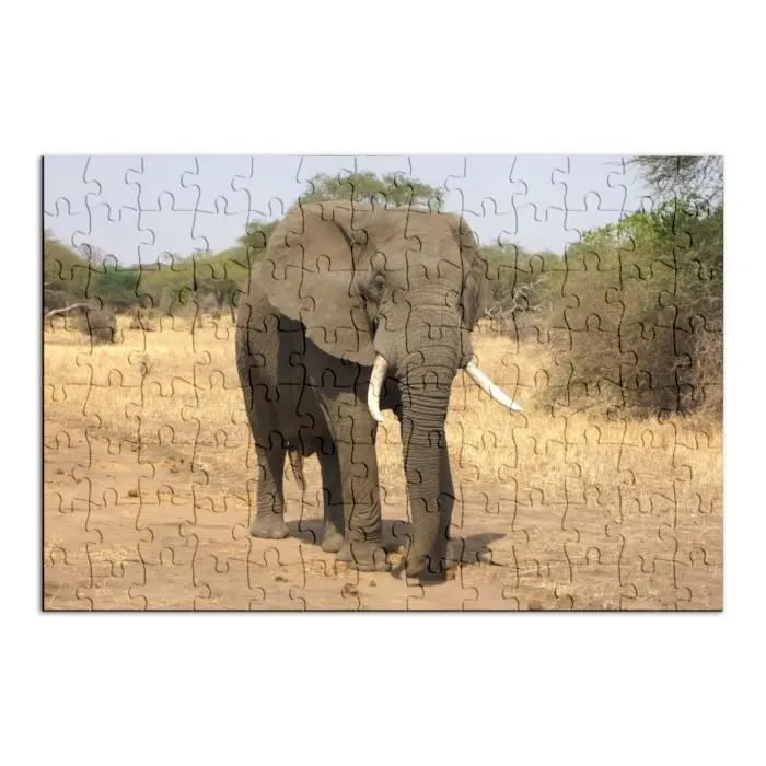 Puzzle Classique - FABULOUS - Elephant d'Afrique Savane - 100 Pièces - Adulte - Mixte-1