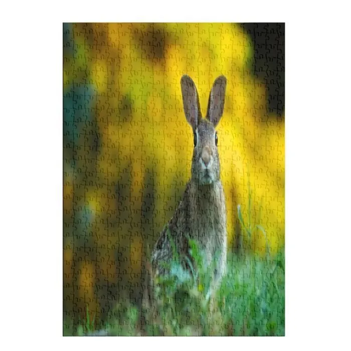 Puzzle Classique 500 pièces Lapin Mignon Dans Une Prairie Nature Photo Animaux Sauvages-1