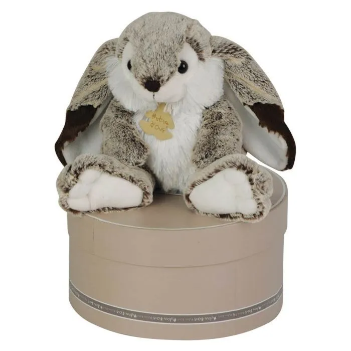 Histoire d'Ours - Les Z'Animoos Lapin Marius, Gris Taille 30 cm-0