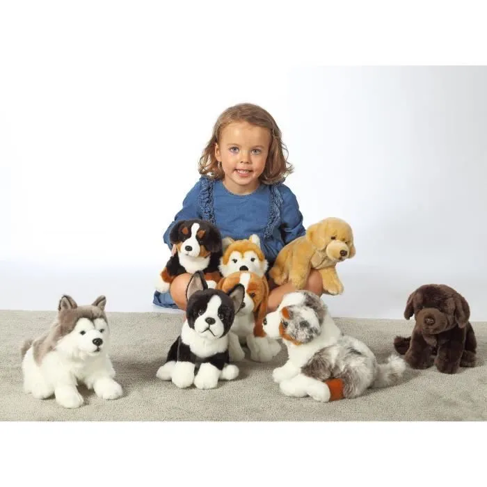Peluche Chien Bouvier Bernois - GIPSY TOYS - Assis, 25 cm-3