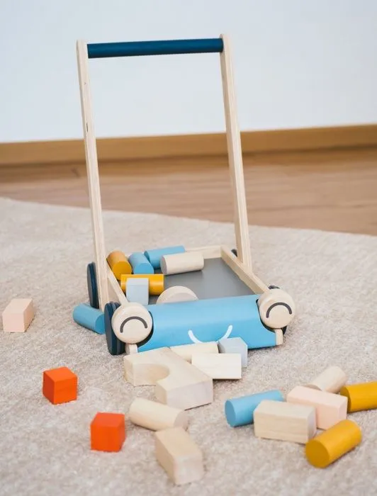 Plan Toys - Chariot de marche Tendresse - TROUSSELIER-2