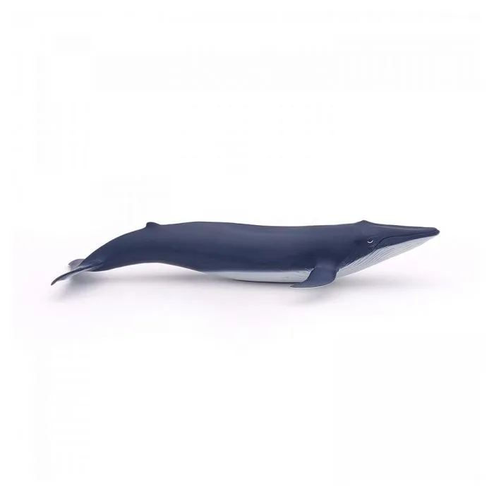Figurine miniature - PAPO - Bébé baleine bleue - Enfant - Mixte - 3 ans et plus-2