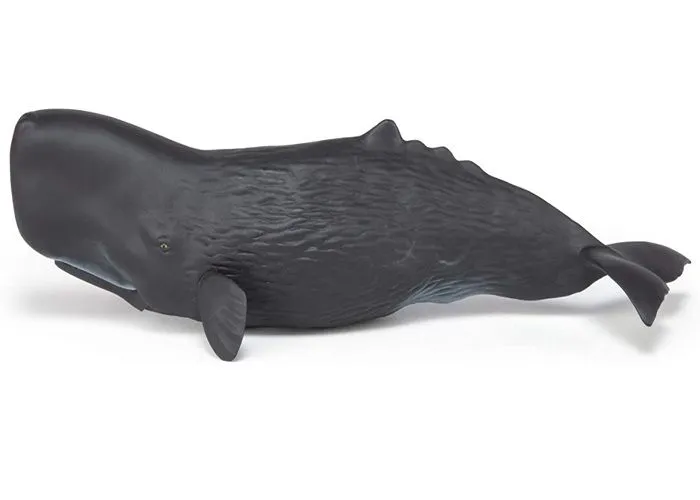 Papo - Figurine Cachalot-2