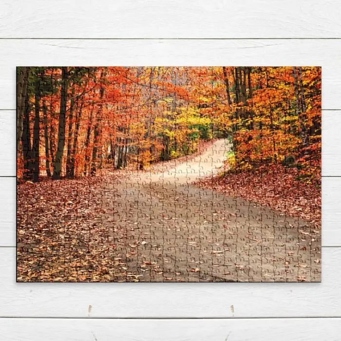 Puzzle Classique 500 pièces - FABULOUS - Chemin Dans une Forêt d'Automne - Mixte - Adulte - Intérieur-3