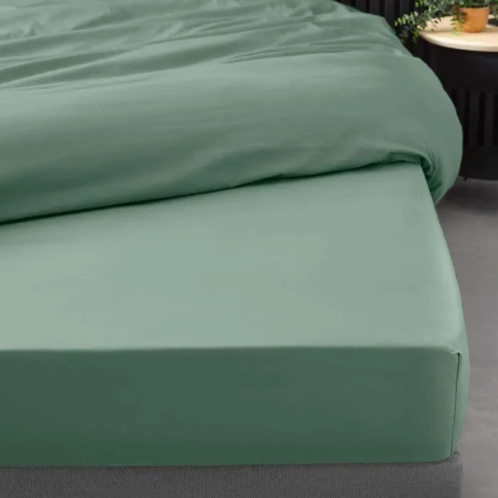 Drap housse 90x190 cm - Percale 100% coton - Bonnet 30 cm - Tilleul-1