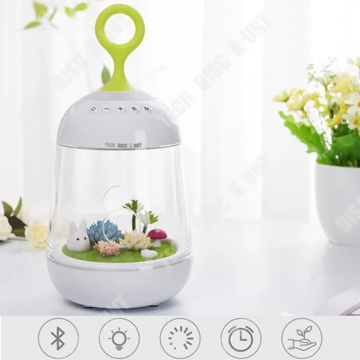 TD® Micro-paysage Bluetooth 2 en 1 Connecté Enceinte Lumineuse USB Multifonction Musique Chambre Salon Charge 3W Atmosphère Apaisant-1