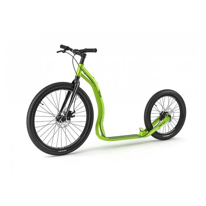 Trottinette Trexx Disc Vert-0