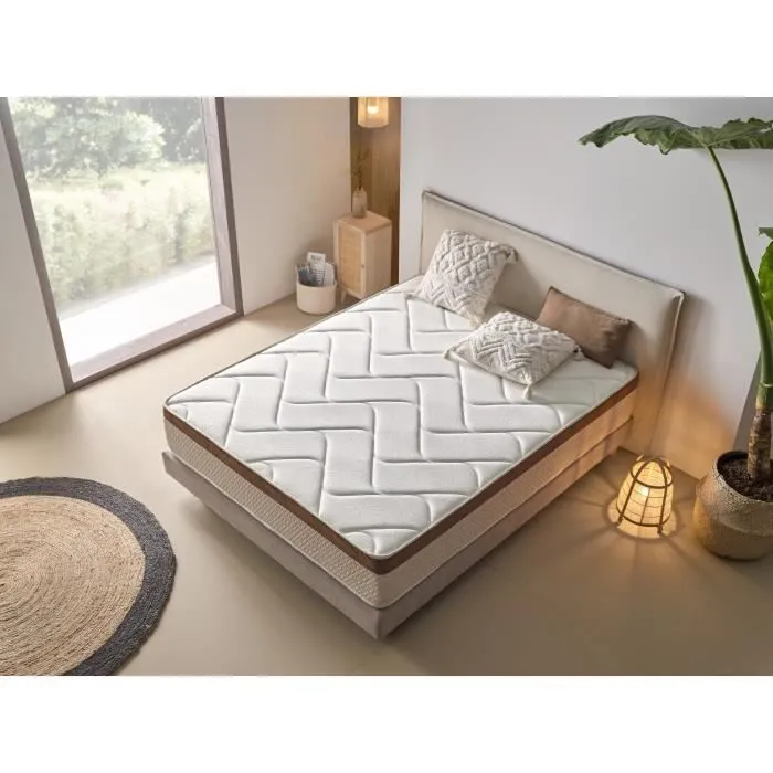 Matelas 100x180 cm Mémoire de forme epaisseur 25 cm +/-2 BIO CONFORT. ECCOX-2
