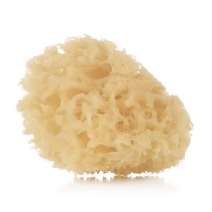 Eponge Naturelle - JANE - 2 unités - Soins de bébé doux pour nouveau-nés-0