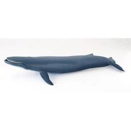 PAPO Figurine Baleine - Bleu-0