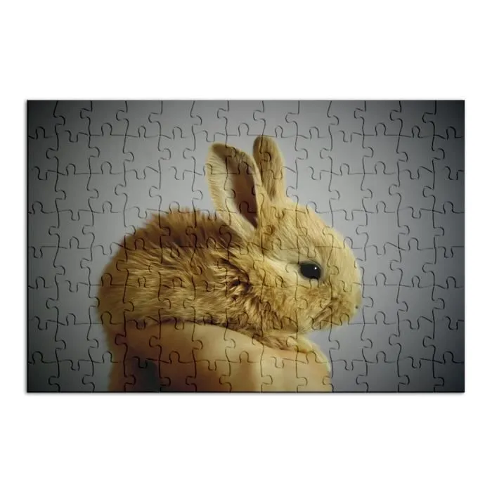 Puzzle Classique 100 pièces Lapin Nain Trop Mignon Poilu Beige Animal De Compagnie-1