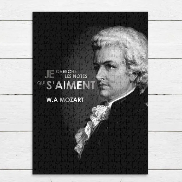 Puzzle Classique - FABULOUS - Je Cherche Les Notes Qui S'aiment Mozart - 500 Pièces - Adulte - Intérieur-3