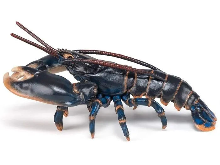 Aliment - Homard - Mixte - Enfant - A partir de 3 ans - Noir-3