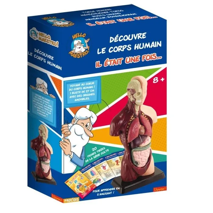 HELLO MAESTRO Buste anatomie - Découvre le corps humain-1