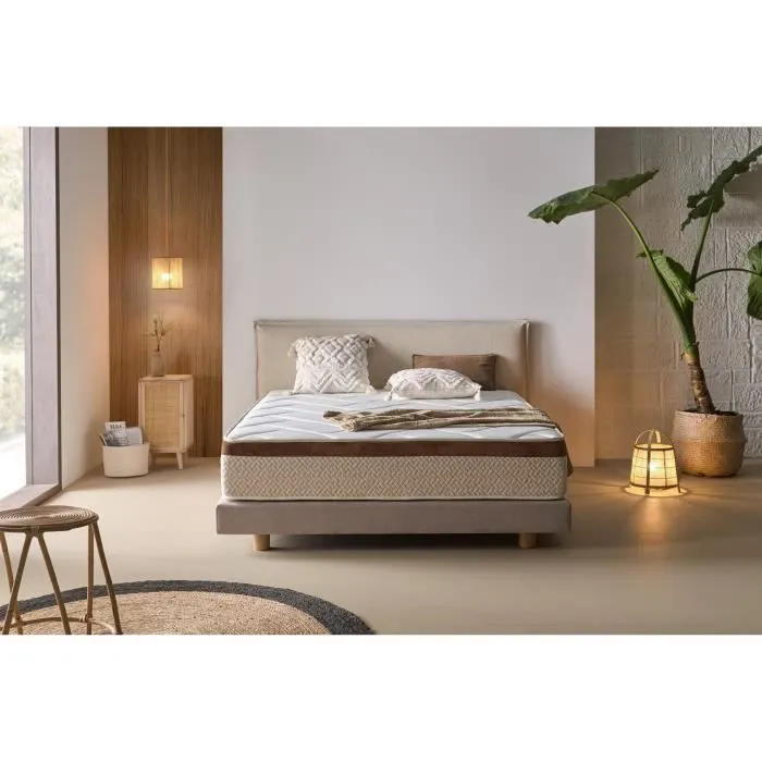 Matelas 100x180 cm Mémoire de forme epaisseur 25 cm +/-2 BIO CONFORT. ECCOX-1