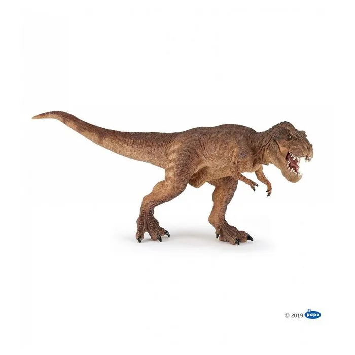 Figurine Dinosaure - PAPO - T-rex courant marron - Beige - Mixte - 3 ans-1