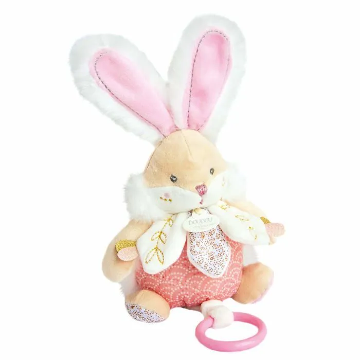 DOUDOU ET COMPAGNIE - Lapin de sucre - Boîte à musique - Rose - 15x10x20cm - Mixte - Dès la naissance-1