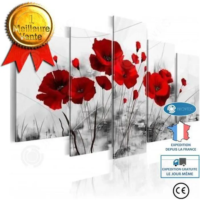 INN® tableau coquelicots rouge sur fond blanc toile peinture fleurs décoration murale 5 pcs vertical moderne champs sans cadre salon-0