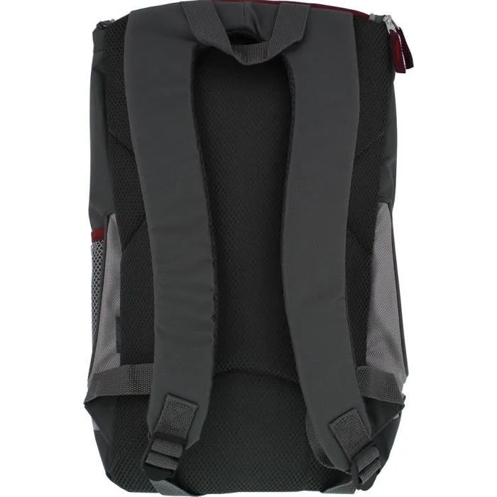 CAMPINGAZ Sac à dos Isotherme Coolbag - 30L - Picnic - Gris/Rouge-1