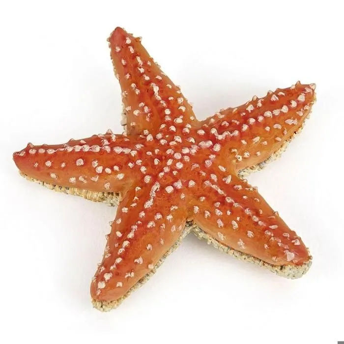 Figurine étoile de mer-1