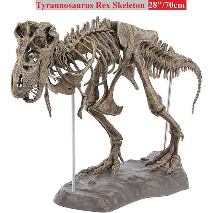 Tyrannosaurus Rex Squelette Dinosaure Animal Collector Décor Modèle Jouet Modèle squelette de dinosaure-0