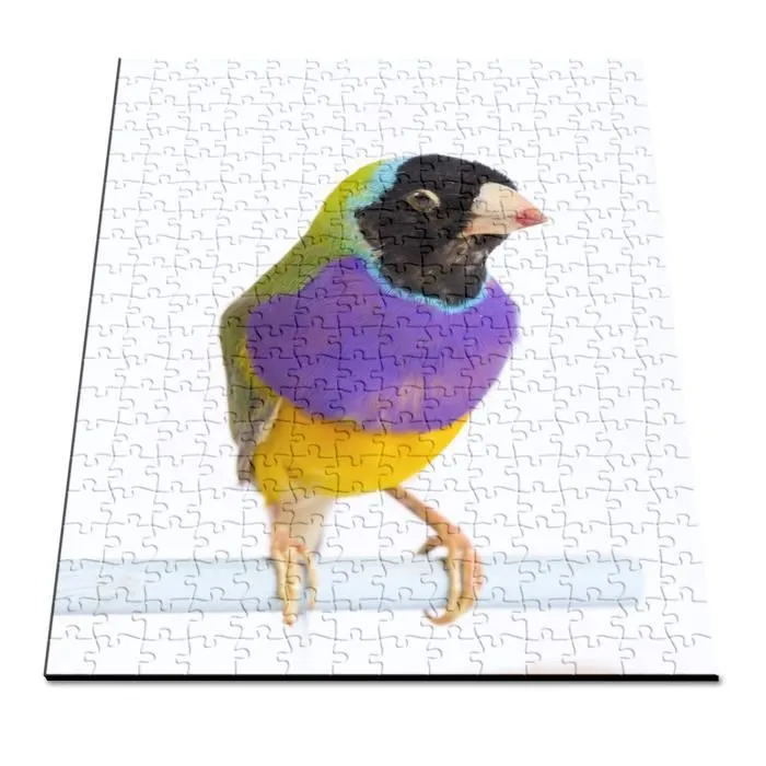 Puzzle Classique - FABULOUS - Oiseau Exotique Gouldian Finch - 280 Pièces - Adulte - Intérieur-2