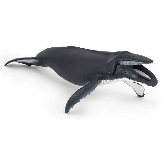 Figurine Baleine à bosse - PAPO - L'UNIVERS MARIN - Pour Enfant - Intérieur-0