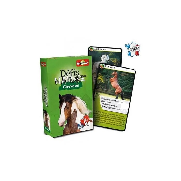 Defis Nature Chevaux le jeu-5