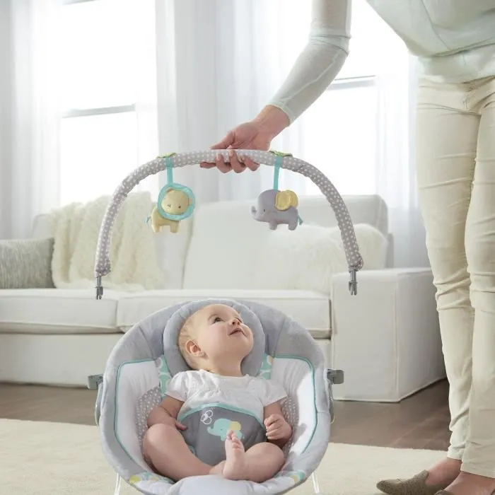 INGENUITY Transat bébé-Morrison- Arche avec jouets d'éveil amovible, 8 Mélodies, Vibrations apaisantes, Cale tête évolutif amovible-4