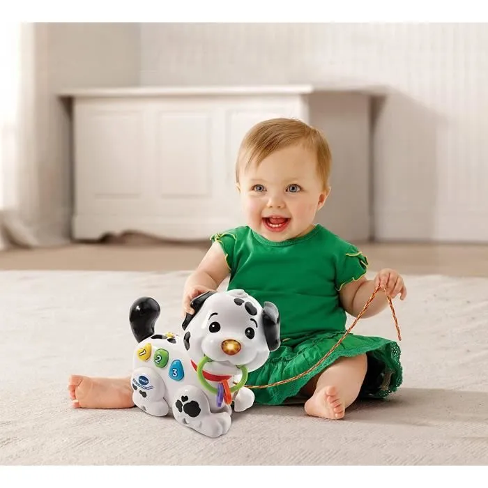 VTech Baby Chien perruno (3480 502822) - 3480-502822-3