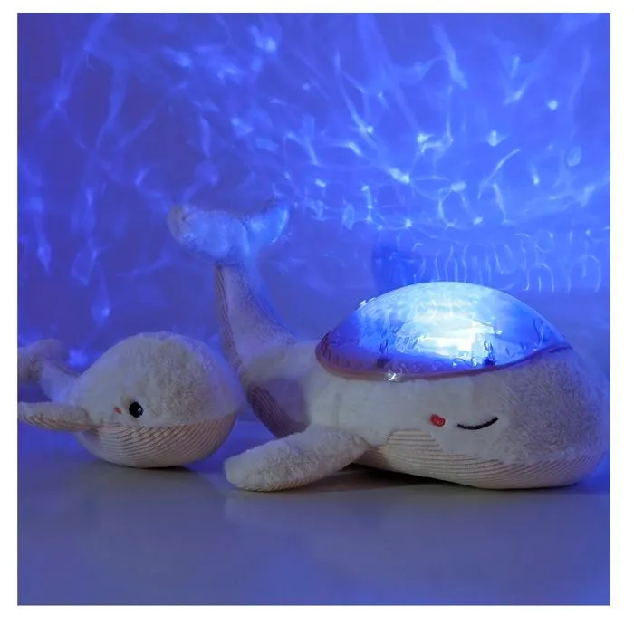 Tranquil Whale Family - Blanc-1