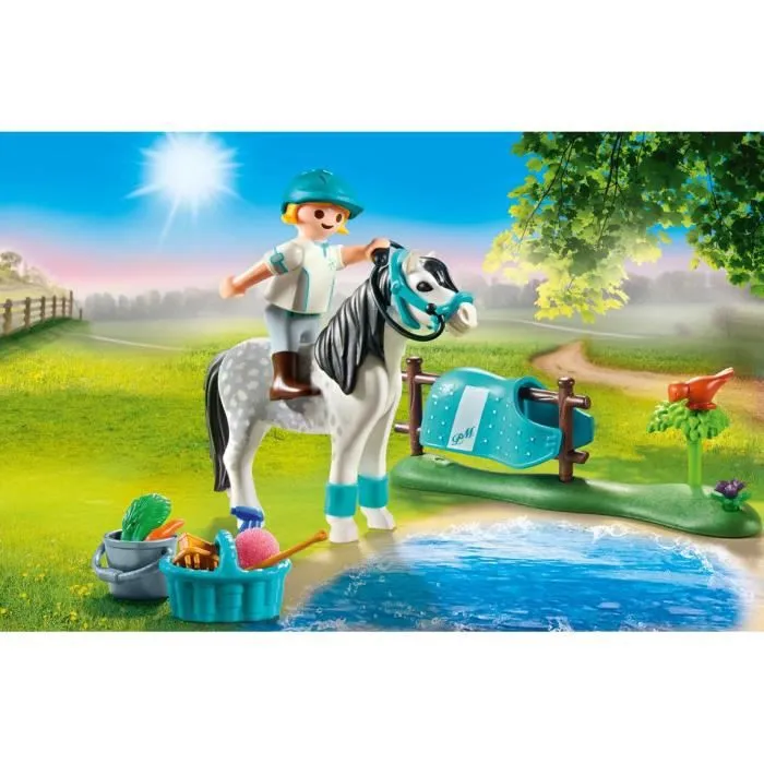 Country Cavalière avec poney gris-1