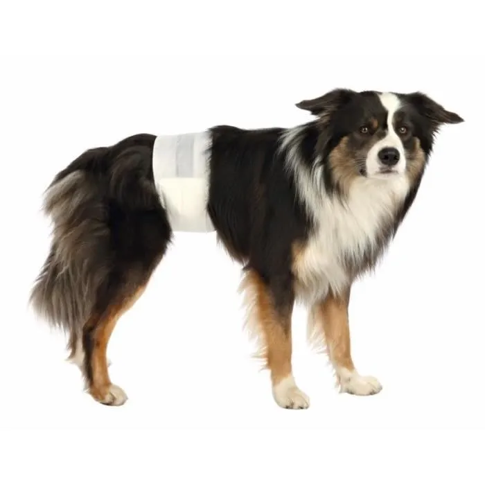 Couches pour chiens mâles, Samp;ndash;M, 12 Pcs-3
