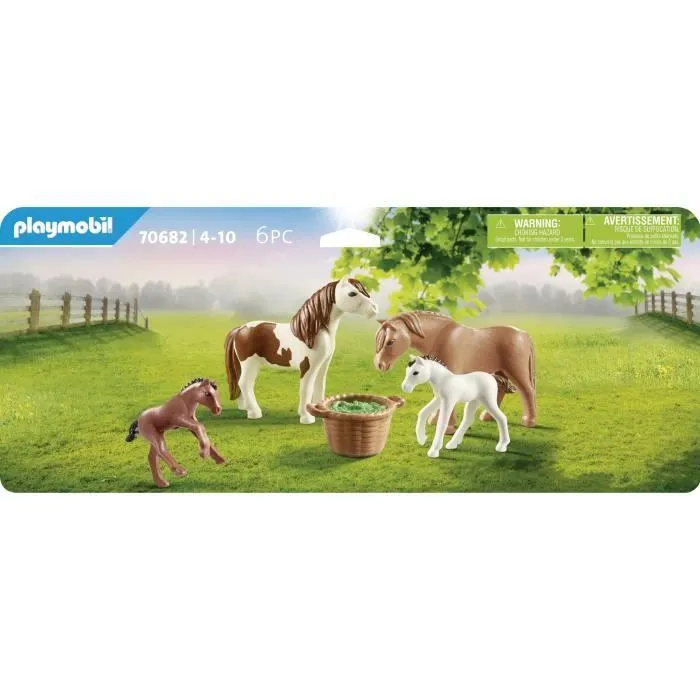 Country Poneys avec Poulains-2