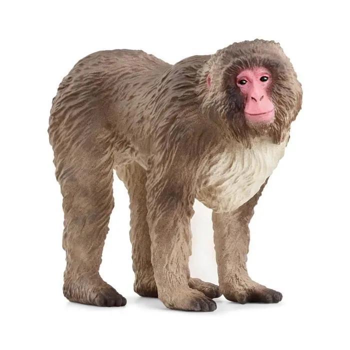 Figurine Wild Life : Macaque japonais-0