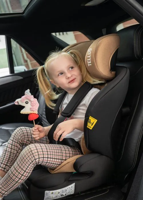 BEBELISSIMO  - Siège auto bébé Isofix  - 76 -150cm - Tellus - de 9 à 36 kg, 15 mois à 12 ans -gris-4