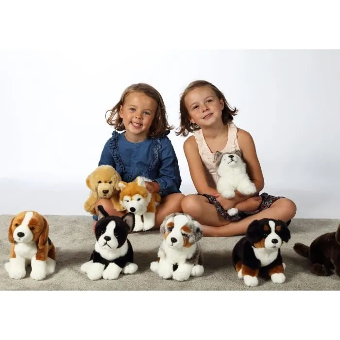 Peluche Chien Husky - GIPSY TOYS - Assis, 25 cm-2