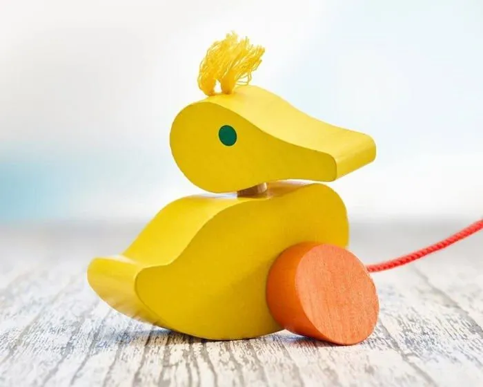 Selecta - Canard à tirer - SCHMIDT-3