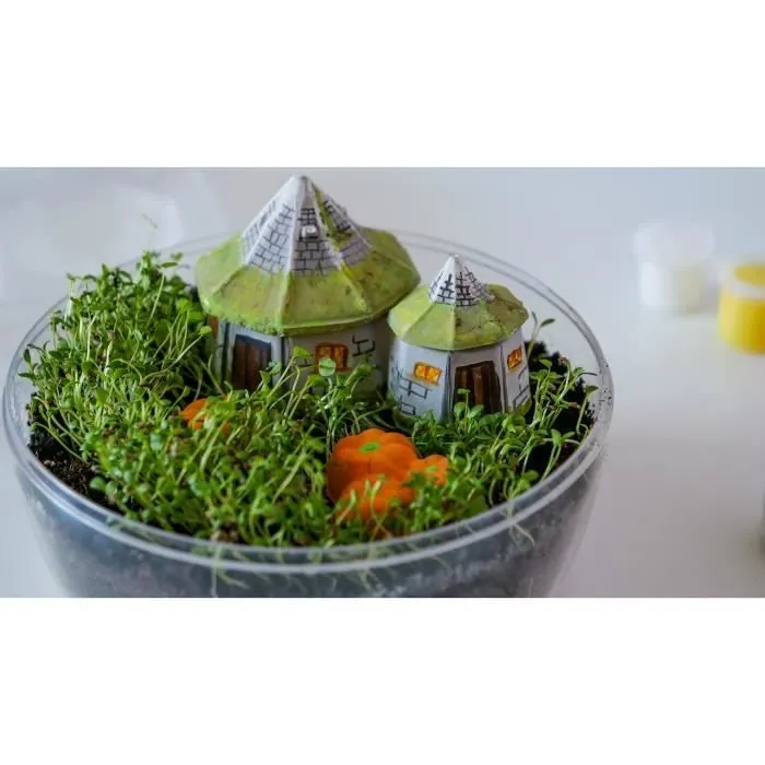 Terrarium Harry Potter - CLEMENTONI - Cabane de Hagrid à reproduire-4