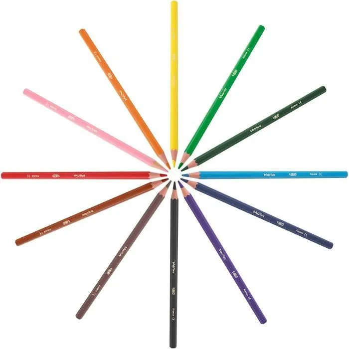 Bic Kids Crayons de couleur Evolution Couleurs assorties (Pack de 288) - 907901-3
