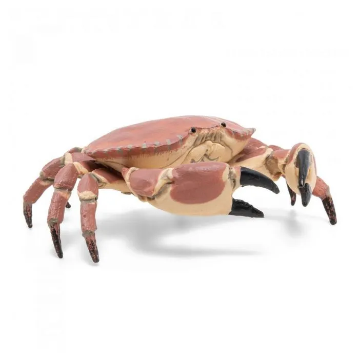 Figurine - PAPO - Crabe - Mixte - Coloris Unique - Intérieur-5