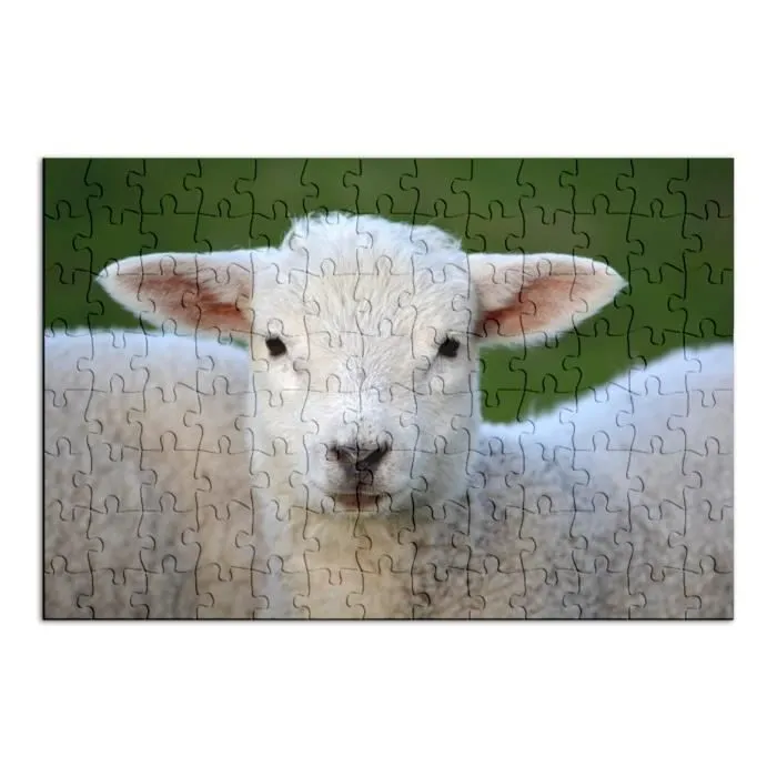 Puzzle Classique 100 pièces Agneau Bebe Mouton Super Mignon Prairie Animal-1