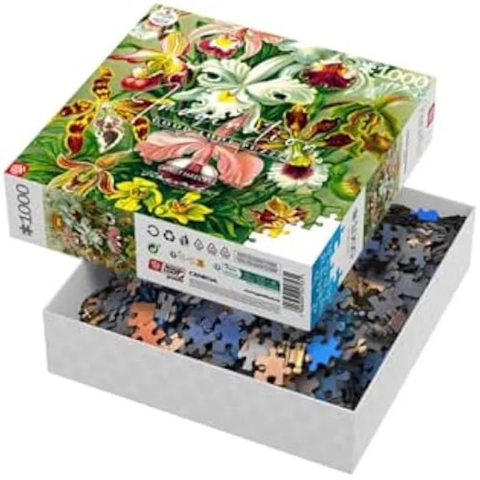 Puzzle - GOOD LOOT - Ernst Haeckel - 1000 pièces - Multicolore - Art Collection - Finition toile-0